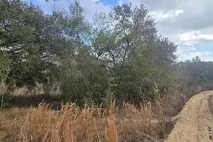 SE 252nd Ave, Umatilla, FL 32784 - Photo 1