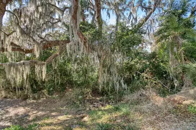 3rd St, Montverde, FL 34756 - Photo 1