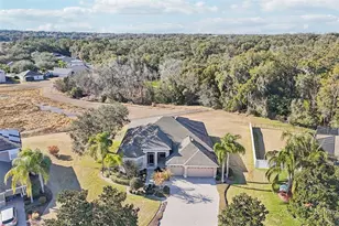 6114 Tremayne Dr, Mount Dora, FL 32757 - Photo 2