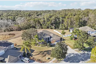 6114 Tremayne Drive, Mount Dora, FL 32757 - Photo 64