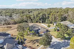 6114 Tremayne Dr, Mount Dora, FL 32757 - Photo 64