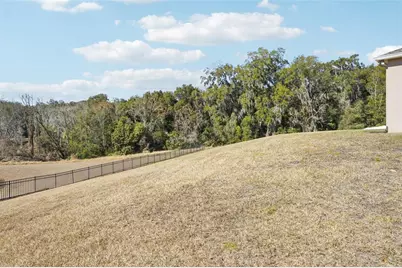 6114 Tremayne Drive, Mount Dora, FL 32757 - Photo 62