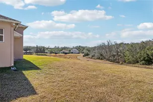 6114 Tremayne Dr, Mount Dora, FL 32757 - Photo 62