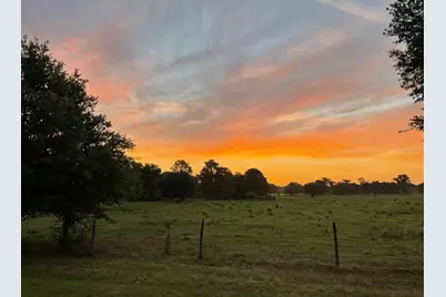 4805 SE 94th Avenue, Webster, FL 33597 - Photo 34