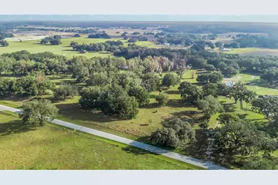 Tract 1 - Cr 221, Wildwood, FL 34785 - Photo 4