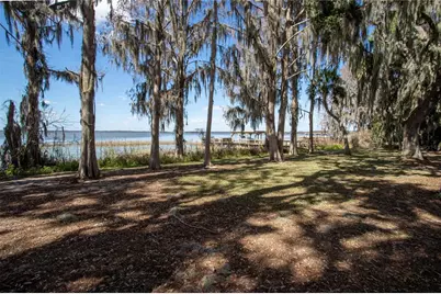 31035 Cove Road, Tavares, FL 32778 - Photo 4