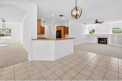 19337 Spring Oak Drive, Eustis, FL 32736 - Photo 22