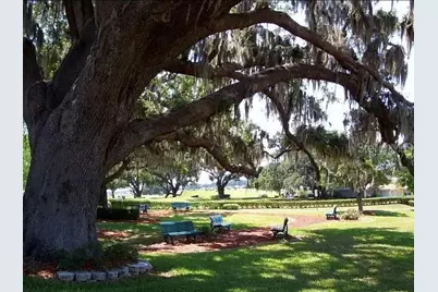 10990 SE 170th Street Road, Summerfield, FL 34491 - Photo 14