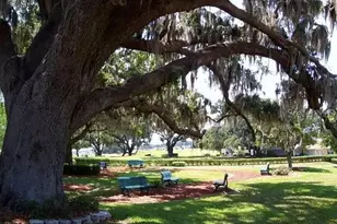 10990 SE 170th Street Rd, Summerfield, FL 34491 - Photo 14