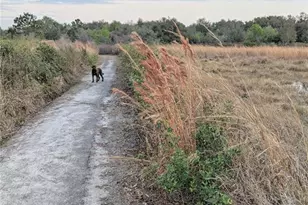 27108 Stoney Brook Dr, Leesburg, FL 34748 - Photo 48