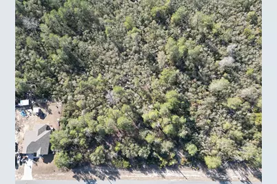 0000 SW 170th Loop, Ocala, FL 34473 - Photo 2