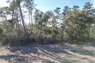 0000 SW 170th Loop, Ocala, FL 34473 - Photo 1