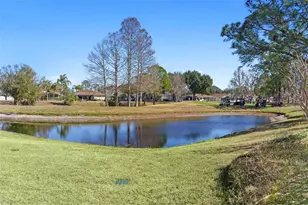 213 Willow Brook Dr, Leesburg, FL 34748 - Photo 32