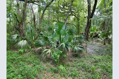 Tbd SW 31st Way Way, Webster, FL 33597 - Photo 12