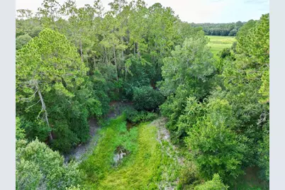 Tbd SW 31st Way Way, Webster, FL 33597 - Photo 4
