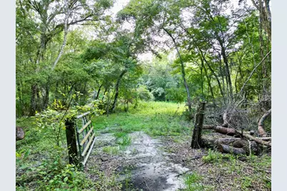 Tbd SW 31st Way Way, Webster, FL 33597 - Photo 2