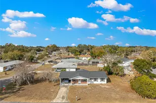 1301 Nichols Dr, Tavares, FL 32778 - Photo 34