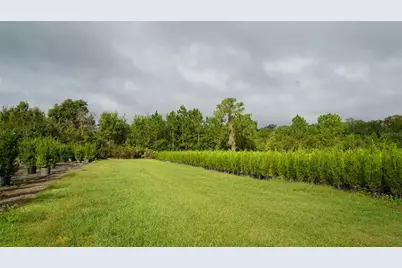 Douglas Road, Groveland, FL 34736 - Photo 14