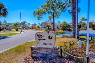 3217 Manatee Rd, Tavares, FL 32778 - Photo 30