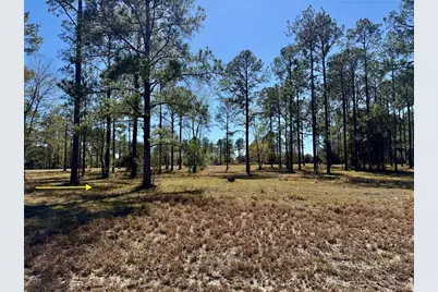 35135 Pinegate Trail, Eustis, FL 32736 - Photo 10
