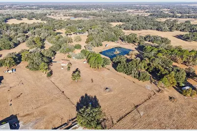 518 Cr 312, Bushnell, FL 33513 - Photo 8