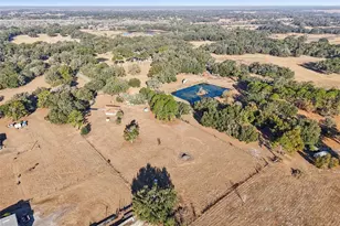 518 Cr 312, Bushnell, FL 33513 - Photo 8