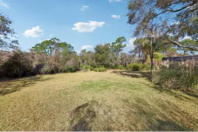 29205 Old Mill E, Tavares, FL 32778 - Photo 42