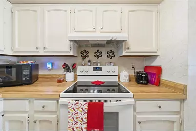 110 N Tremain Street #109, Mount Dora, FL 32757 - Photo 6