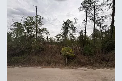 Georgia Street, Paisley, FL 32767 - Photo 1