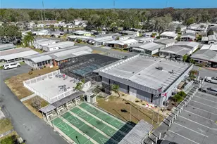 698 Cindi Ave, Leesburg, FL 34788 - Photo 58