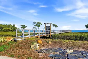 1405 N Bayshore Dr, Safety Harbor, FL 34695 - Photo 54