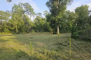 40th, Webster, FL 33597 - Photo 1