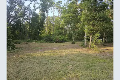 40th, Webster, FL 33597 - Photo 2