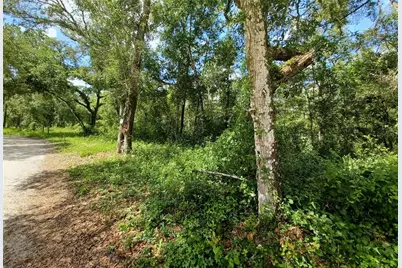 40th, Webster, FL 33597 - Photo 6