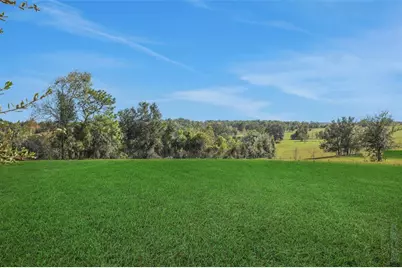 5011 Firebush Drive, Apopka, FL 32712 - Photo 8