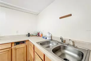 301 E Atwater Ave, Eustis, FL 32726 - Photo 46