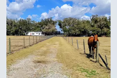 14240 Sr 471, Webster, FL 33597 - Photo 4