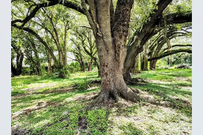 14240 Sr 471, Webster, FL 33597 - Photo 12