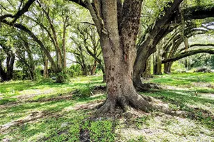 14240 Sr 471, Webster, FL 33597 - Photo 12