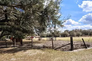 14240 Sr 471, Webster, FL 33597 - Photo 44