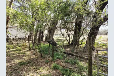14240 Sr 471, Webster, FL 33597 - Photo 34