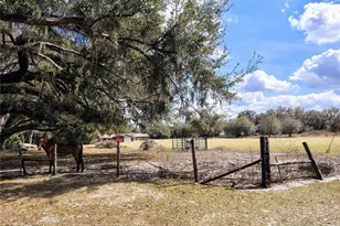 14240 Sr 471, Webster, FL 33597 - Photo 48