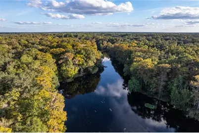 Blue Bird Court SW, Fort White, FL 32038 - Photo 14