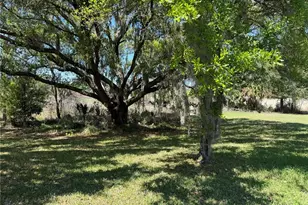 26815 White Plains Way, Leesburg, FL 34748 - Photo 50