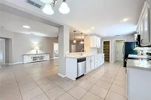 26815 White Plains Way, Leesburg, FL 34748 - Photo 16
