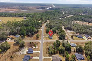 224 Fisher Rd, Ocklawaha, FL 32179 - Photo 32