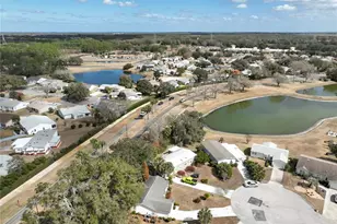 25227 Wild Heron, Leesburg, FL 34748 - Photo 34