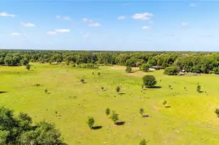 12237 Cr 727, Webster, FL 33597 - Photo 26