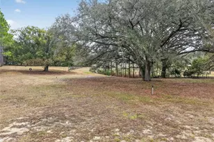 40635 Thomas Boat Landing Rd, Umatilla, FL 32784 - Photo 36