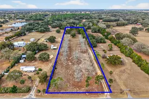 40635 Thomas Boat Landing Rd, Umatilla, FL 32784 - Photo 6